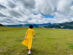 -纳帕海依拉草原