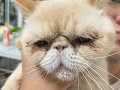 -FAELING PETS美天灵宠物(富力广场店)