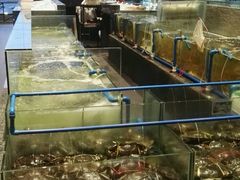-Isla Sugbu Seafood City