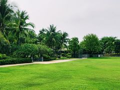 -海南清水湾莱佛士酒店