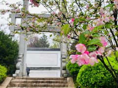 -武汉园博园(武汉自然博物馆)