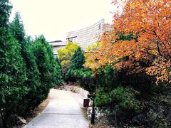 -府君山公园
