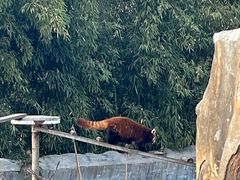 -临沂动植物园