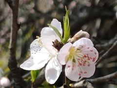 -苏州上方山国家森林公园