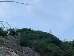 -紫金山索道-售票处