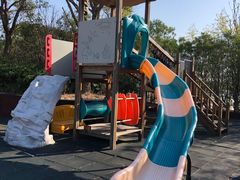 -上海崇明金茂凯悦酒店