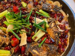 -老板恋上鱼(恒隆广场店)