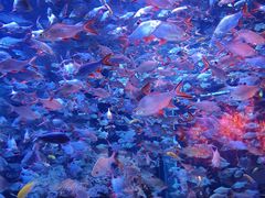 -成都浩海立方海洋公园