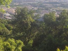 -火炉山森林公园