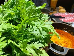 茼蒿杆-呷哺呷哺 黄金牧场 (新中关购物中心店)