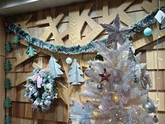-MOCHA明星猫咖(田子坊店)