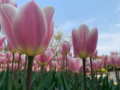 -无锡市市民中心