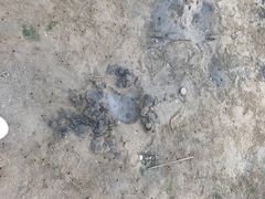 -在海一方公园