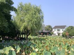 -丝绸小镇荻港古村