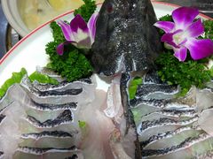 笋壳鱼-金龙·打边炉(武进路店)