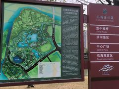 -王借岗森林公园