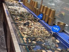 -丰卓会海鲜自助(中润大道店)