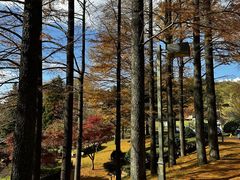 -四明山国家森林公园
