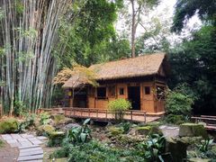 -望江楼公园