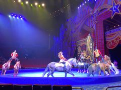 -珠海横琴长隆《卡卡虎奇遇记》