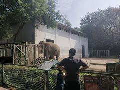 -合肥野生动物园