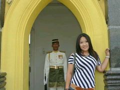android_upload_pic-新加坡总统府