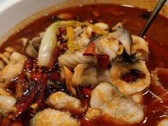 -蜀腾川·火锅鱼.烤鱼(新世界城店)