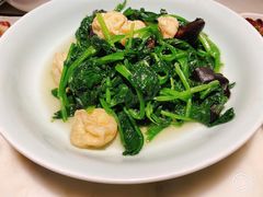 花园菠菜-東大方(武康千秋广场店)