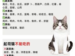 -翊宠yipet猫狗购宠庄园犬舍•猫舍