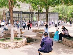 -长白岛森林公园