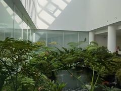 -罗红摄影艺术馆