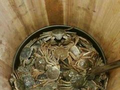 android_upload_pic-伯豪瑞廷酒店-天伦阁西餐厅