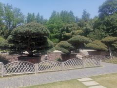-水绘园