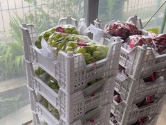 -马陆小张葡萄园农家乐