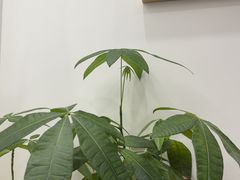 -海马体家庭照相馆(深圳笋岗万象食家家庭店)