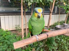 -南宫五洲植物乐园