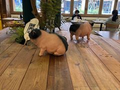 -春家·非遗手工小吃(徐汇万科广场店)