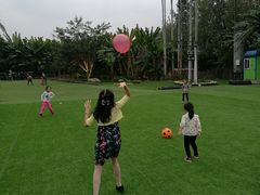 -三圣花乡旅游区