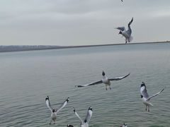 -青海湖二郎剑景区