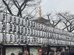 -浅草寺