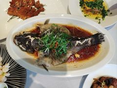 -新雅粤菜馆(南京东路店)