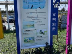 -上海都市菜园