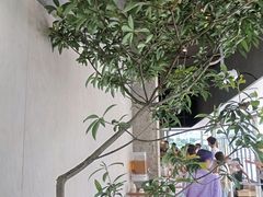 -喜茶(珠海华发商都店)