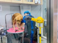 -宠福鑫康馨动物医院·骨科·眼科