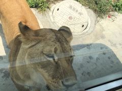 -西安秦岭野生动物园