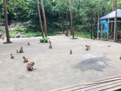 -千岛湖东南湖区