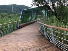 -西湖风景区-江洋畈生态公园