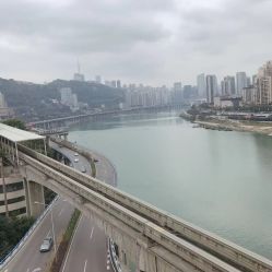 -青禾造型&刺青