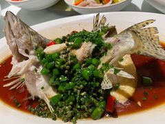 椒麻蒸桂花鱼-玫瑰厅上海菜(兴国路店)