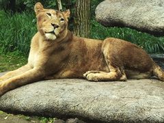 -北京野生动物园